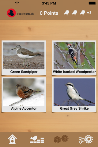 Bird-Song-Quiz screenshot 3
