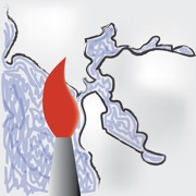 San Francisco Bay Galleries