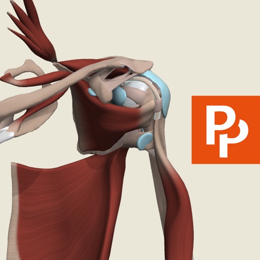 Shoulder: 3D Real-time Human Anatomy