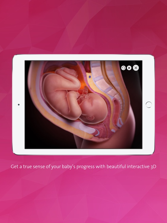 Pregnancy: Life in the Womb screenshot-4
