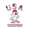 USA Chicken Camborne
