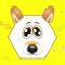 Make fantastic photos with crazy funny face filters including the popular Dog filters and many more animals filters