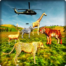 Activities of Wild Jungle Animals Hunting