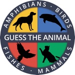 Learn the Animals Quiz