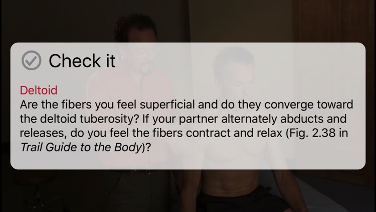 PalpationMapp