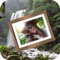 Awesome New 3D Nature Photo Frame Are Provide