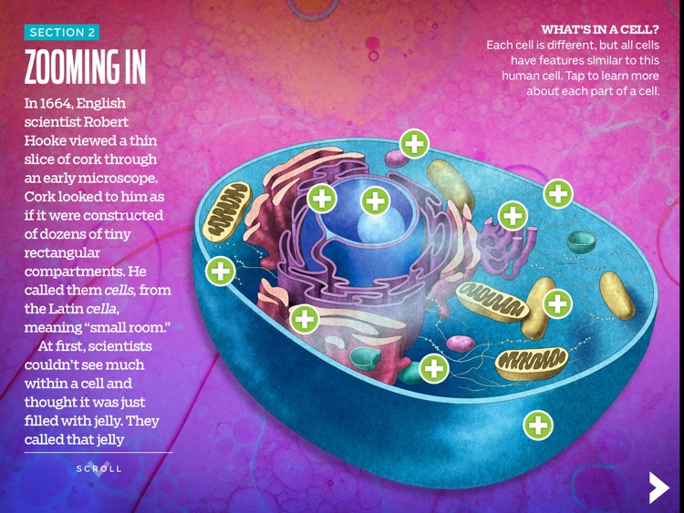 Cells by KIDS DISCOVER