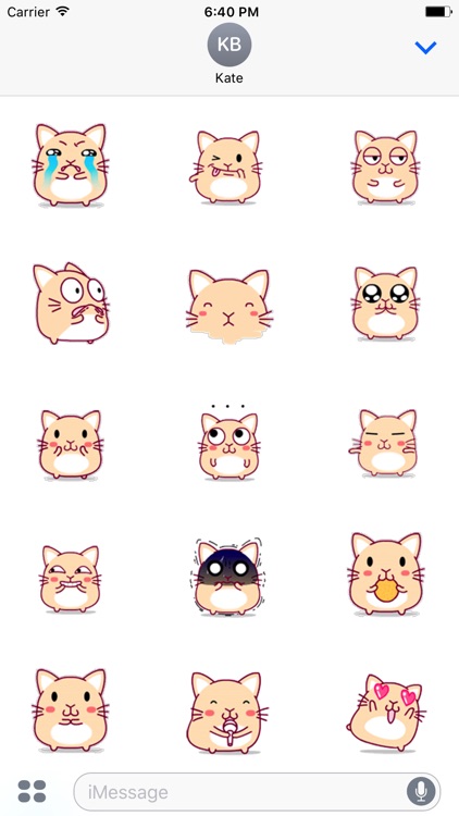 Big Cat Animated