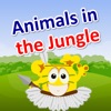 Animals in the Jungle :