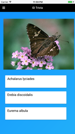 Butterfly Species of North America(圖4)-速報App