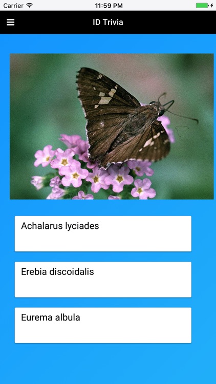 Butterfly Species of North America screenshot-3