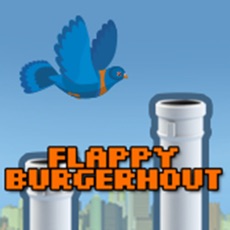 Activities of Flappy Burgerhout