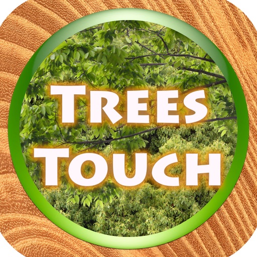 Trees Quiz Touch :: Trees * Woods * Forest icon