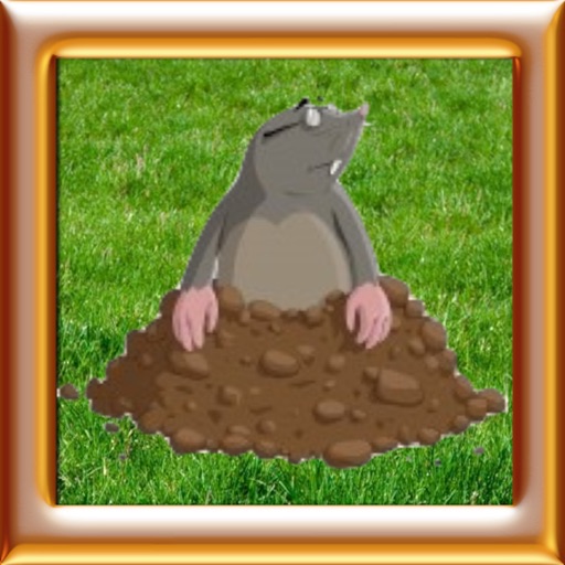 Animals World: Cartoon Moles Tap Premium icon