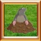 Moles like to dig holes in the garden