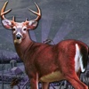 Hunting Games : Deer Sniper Shooting Man Pro