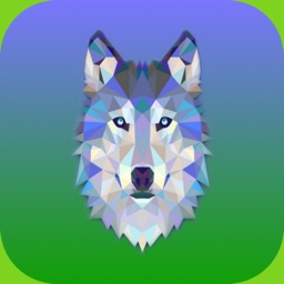 Wolf-Runner