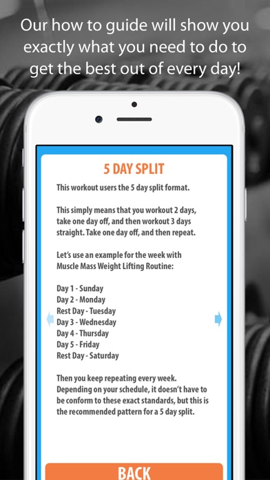 Screens5 For Muscle Mweight Lifting Routine Screens5 For Muscle Mweight Lifting Routine