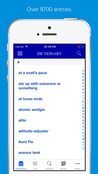 American Slang and Colloquialism Dictionaryのおすすめ画像1