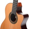 Learn To Play Classical Guitar - iPadアプリ