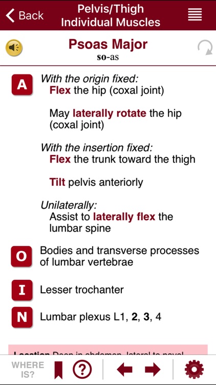 AnatomyMapp Lite