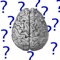 Polemics Applications presents Fallacies & Biases