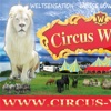 Circus William Gebrüder Wille