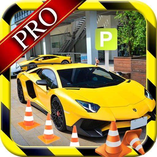 City Car Parking Pro: Learn  Driving Mania icon