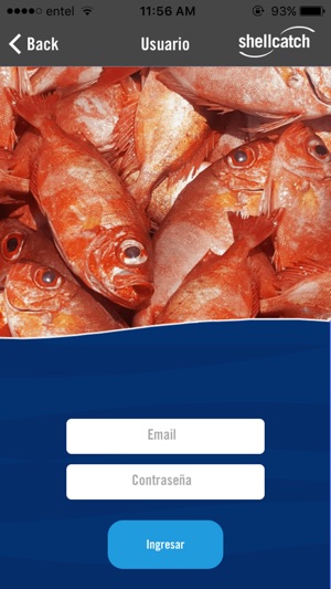 Shellcatch(圖5)-速報App