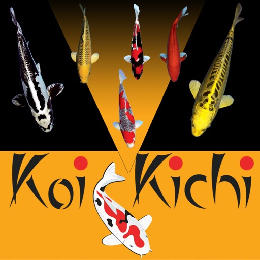 Koi Kichi Icon