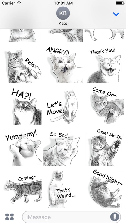 Gorma the Cat