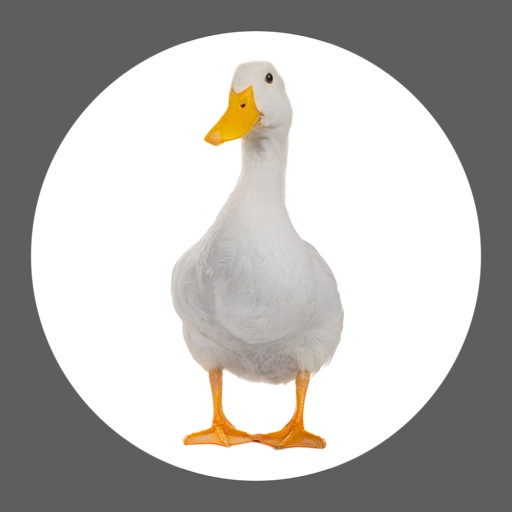 Duck Soundboard Icon