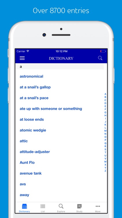 American Slang and Colloquialism Dictionary