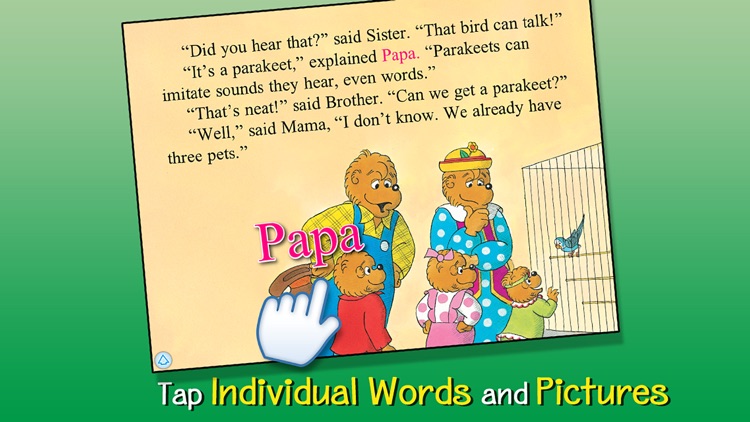The Berenstain Bears’ Really Big Pet Show