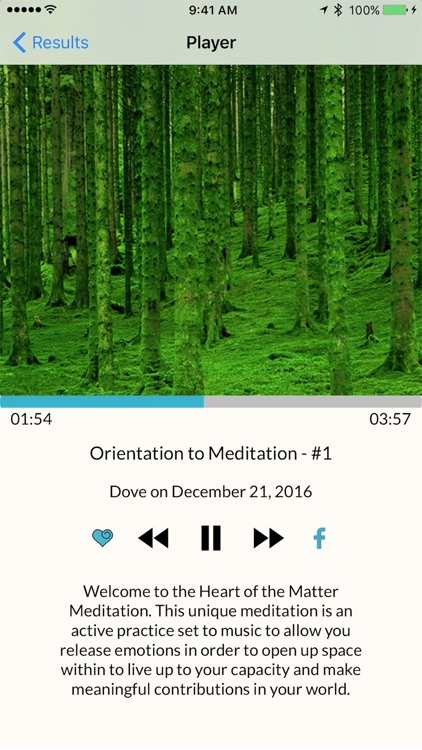 Heart of the Matter Meditation screenshot-4