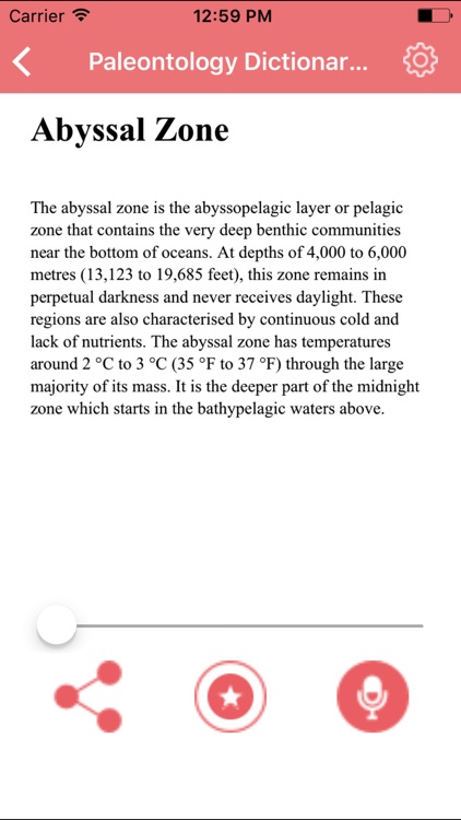 Palaeontology Dictionary Terms Definitions