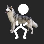 Squat Your Dog
