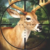 Sniper Hunter Safari Survival sur PC