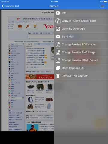 Web2PDF screenshot 4