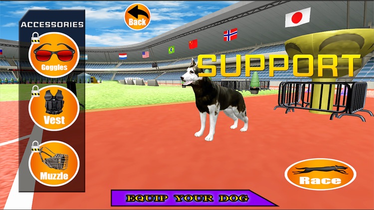 Super Crazy Real Dog Racing Game by Muhammad Imran
