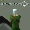 Veteran Soldiers 3D