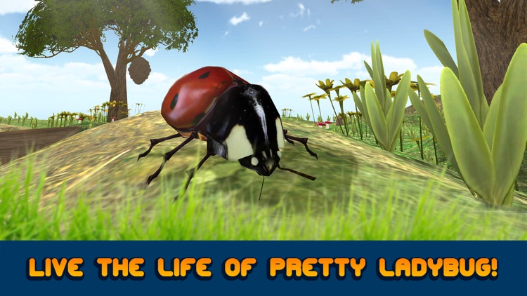 Flying Ladybug Insect Simulator 3D