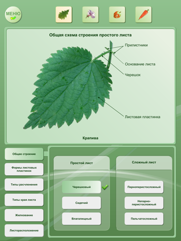 Biology - Plant handbook HD screenshot 2