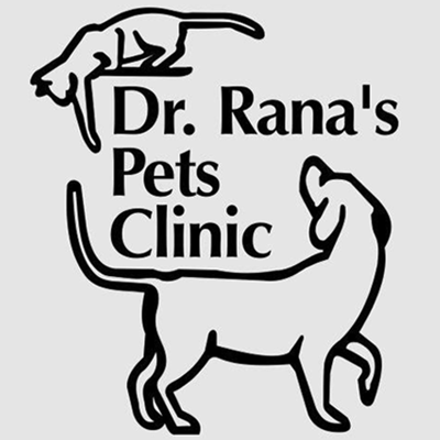 rana pet clinic