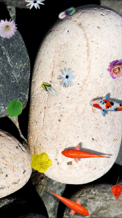 Pond Koi screenshot-3