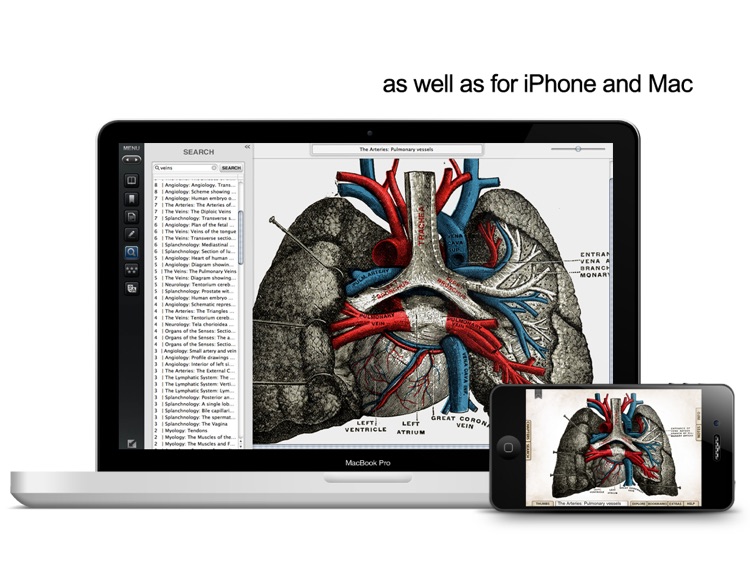 Grays Anatomy Student Edition for iPad screenshot-4