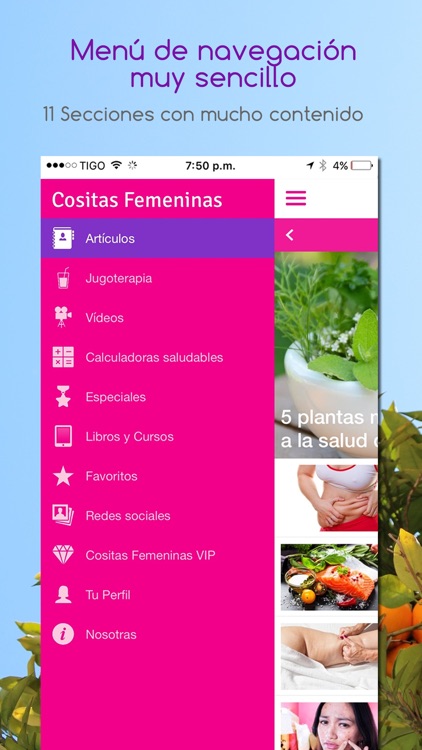 Cositas Femeninas screenshot-3