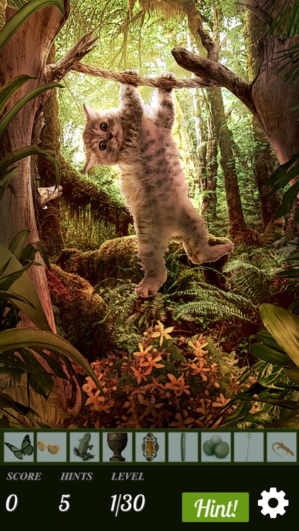 Hidden Object - Cats Island