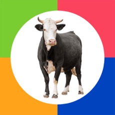 Activities of Preschool Games - Farm Animals by Photo Touch
