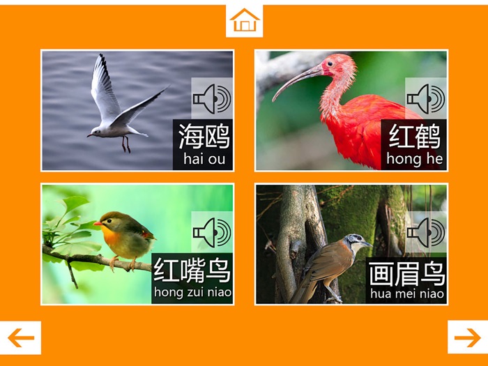 动物叫声-鸟类篇：动物园世界的叫声游戏